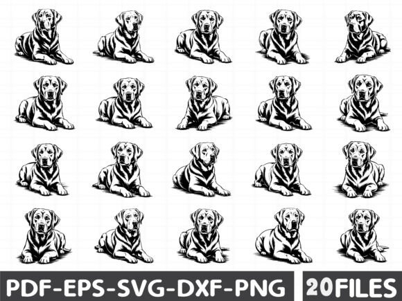Labrador Retriever Dog Graphics and Illustrations Review